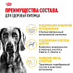 Сухой корм Royal Canin Maxi Dermacomfort для взрослых крупных пород 10 кг